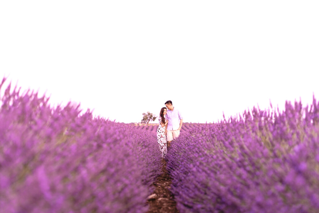 couple photoshoot in lavender field of provence